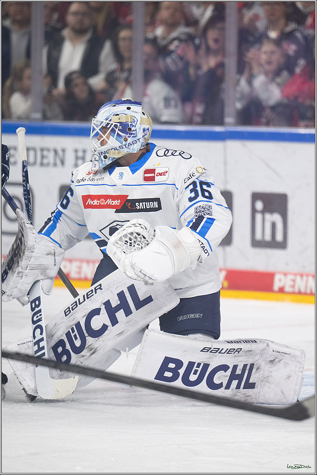 PENNY DEL 1; Kölner Haie - ERC Ingolstadt; Köln, 27.02.2026