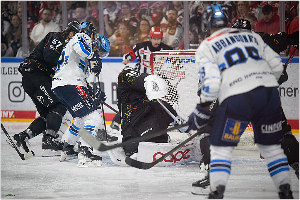 PENNY DEL 1; Kölner Haie - ERC Ingolstadt; Köln, 27.02.2026