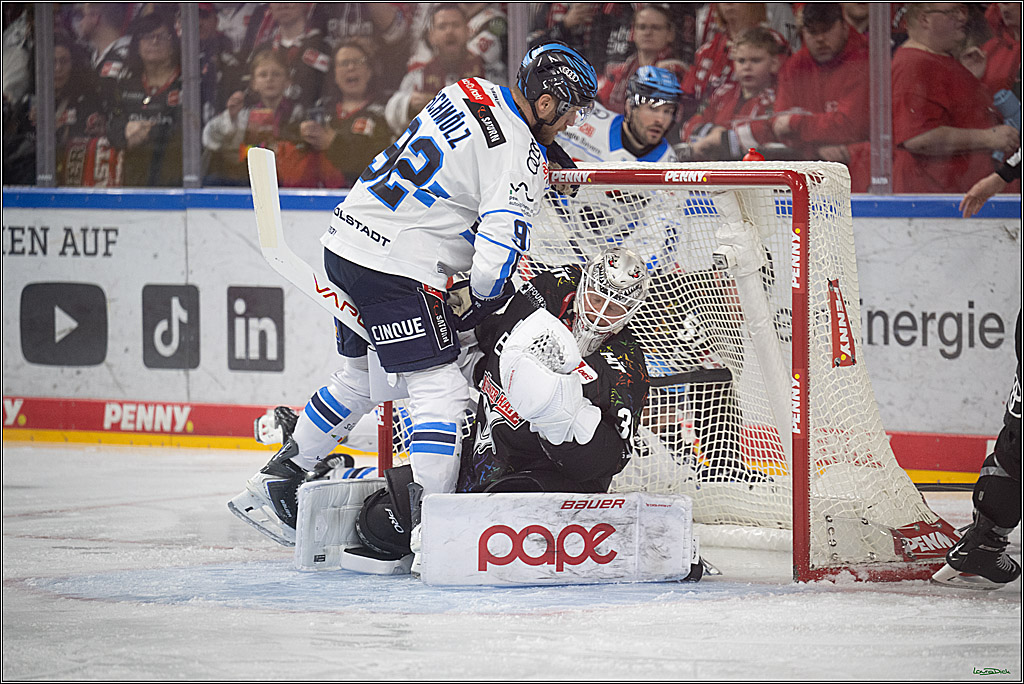 PENNY DEL 1; Kölner Haie - ERC Ingolstadt; Köln, 27.02.2026