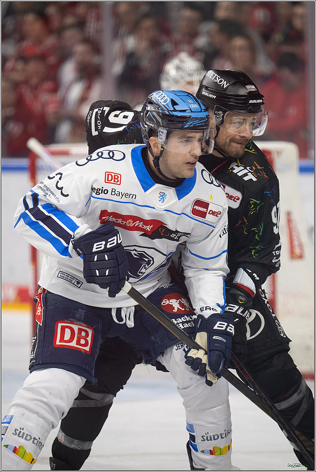 PENNY DEL 1; Kölner Haie - ERC Ingolstadt; Köln, 27.02.2026