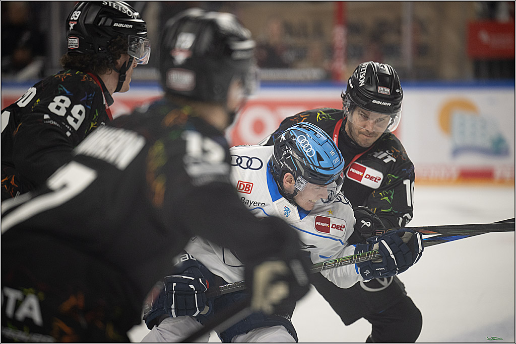 PENNY DEL 1; Kölner Haie - ERC Ingolstadt; Köln, 27.02.2026