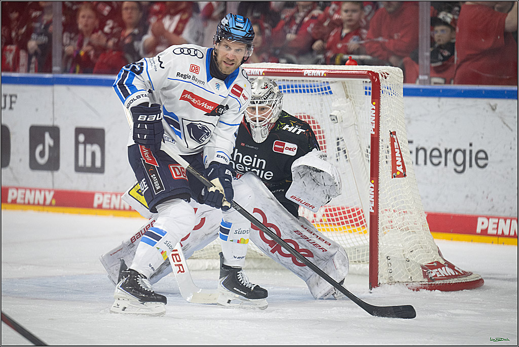 PENNY DEL 1; Kölner Haie - ERC Ingolstadt; Köln, 27.02.2026