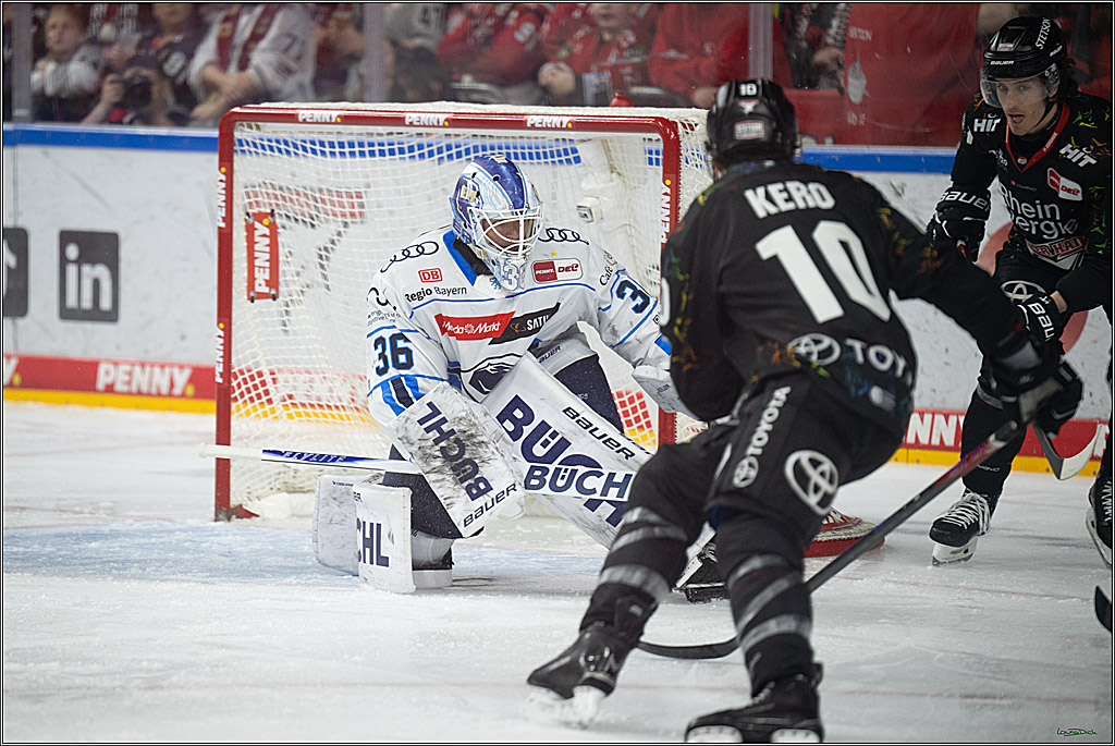 PENNY DEL 1; Kölner Haie - ERC Ingolstadt; Köln, 27.02.2026