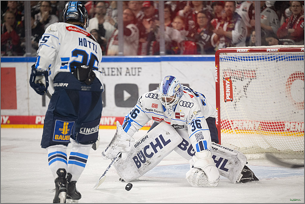 PENNY DEL 1; Kölner Haie - ERC Ingolstadt; Köln, 27.02.2026