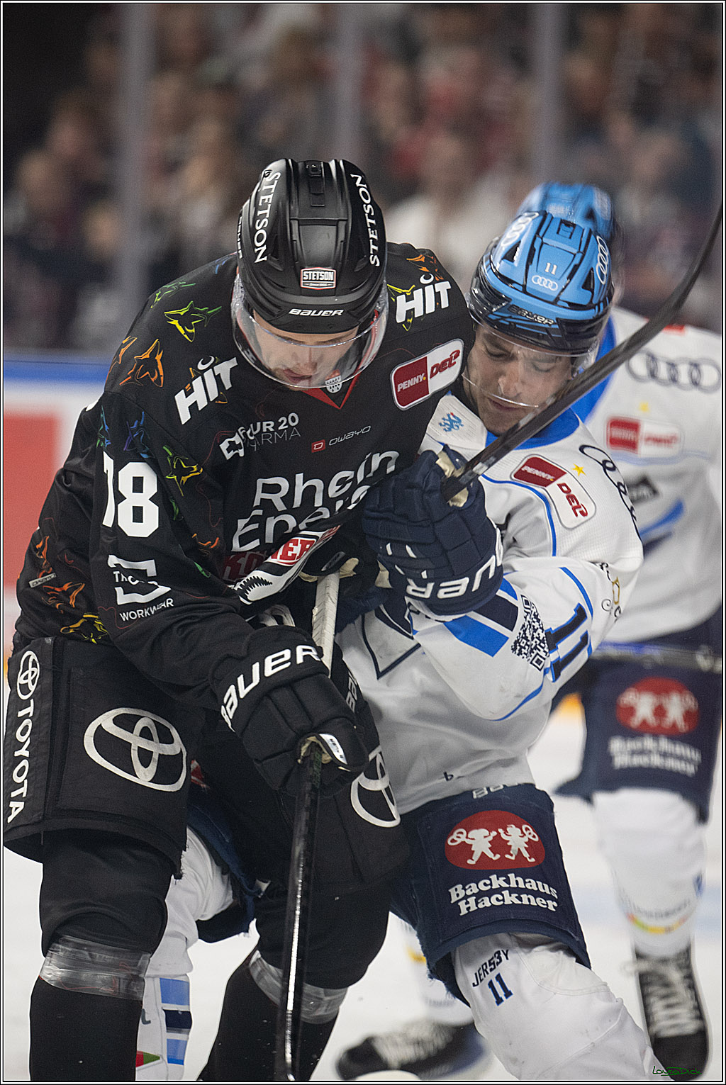 PENNY DEL 1; Kölner Haie - ERC Ingolstadt; Köln, 27.02.2026