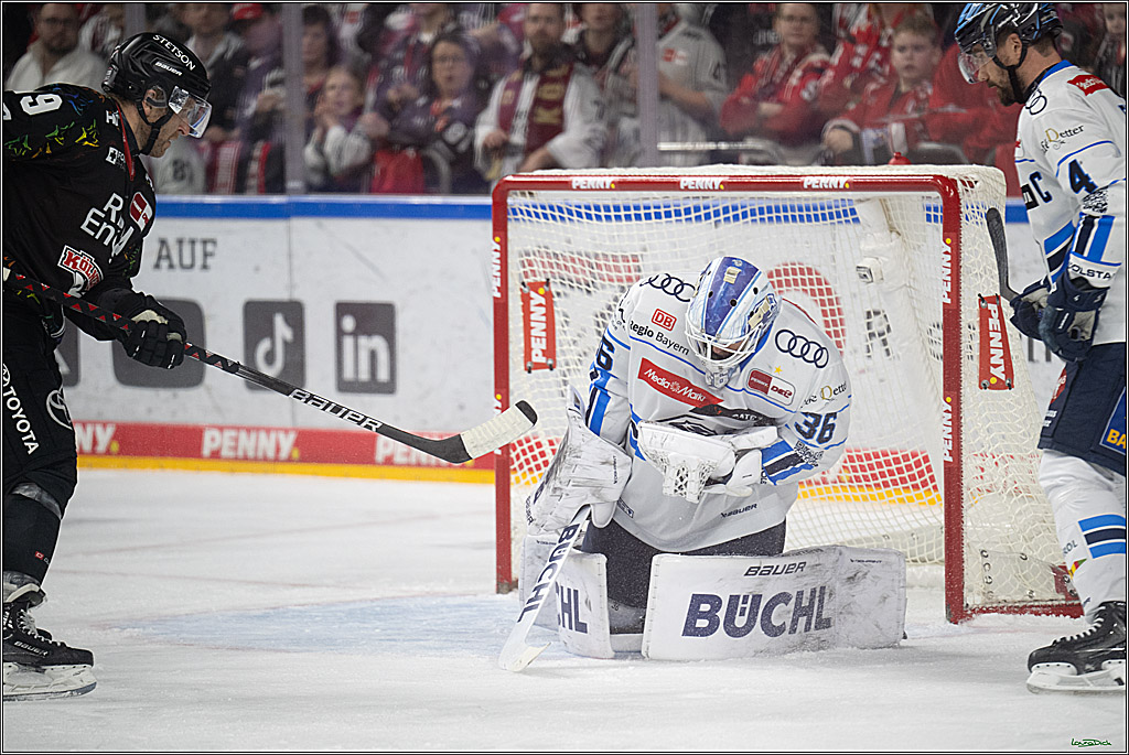 PENNY DEL 1; Kölner Haie - ERC Ingolstadt; Köln, 27.02.2026