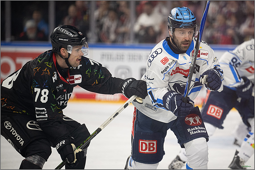 PENNY DEL 1; Kölner Haie - ERC Ingolstadt; Köln, 27.02.2026