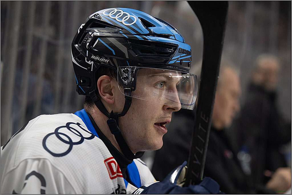 PENNY DEL 1; Kölner Haie - ERC Ingolstadt; Köln, 27.02.2026