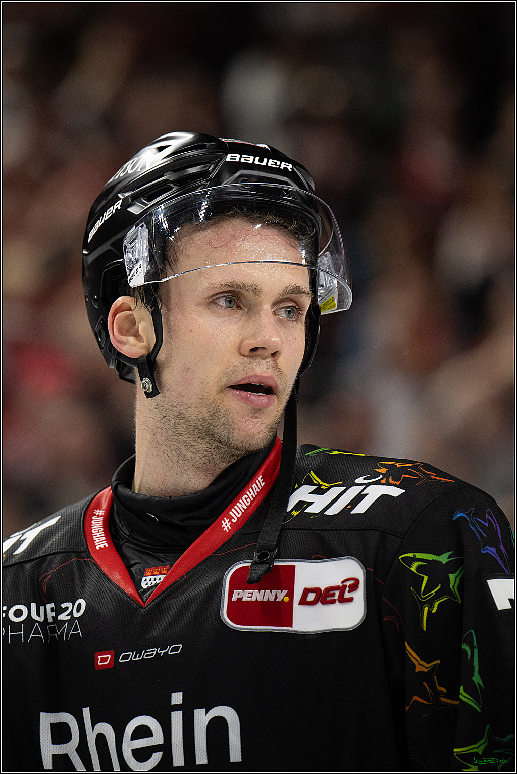 PENNY DEL 1; Kölner Haie - ERC Ingolstadt; Köln, 27.02.2026