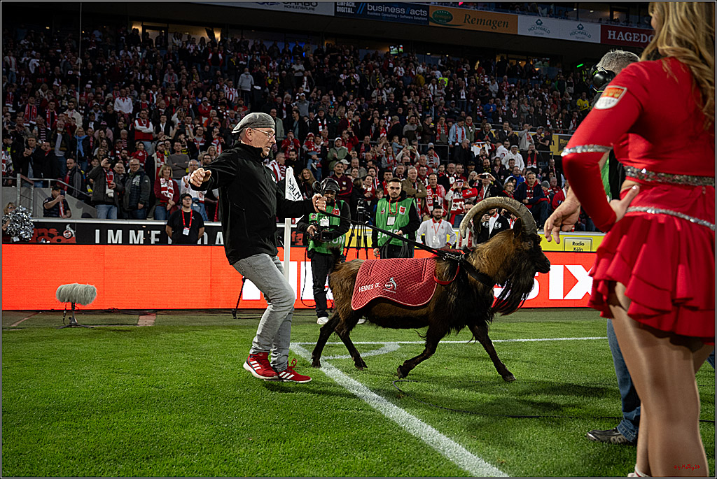 1. Fussball Bundesliga, 1.FC Köln - Borussia Dortmund, 07.03.2026