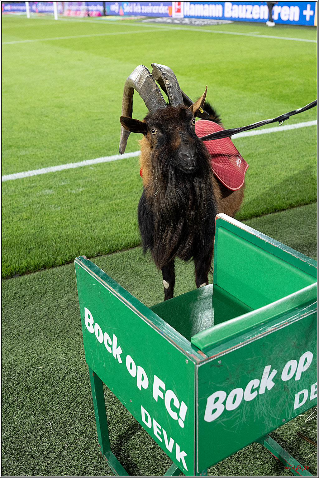 1. Fussball Bundesliga, 1.FC Köln - Borussia Dortmund, 07.03.2026