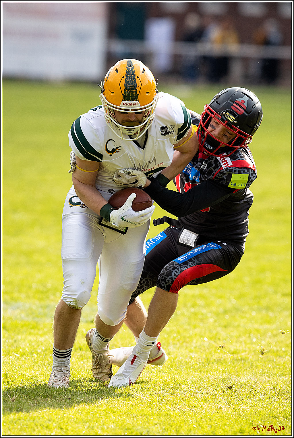 GFL - Charity Bowl, Solingen Paladins vs Cologne Crocodiles, 30.04.2022