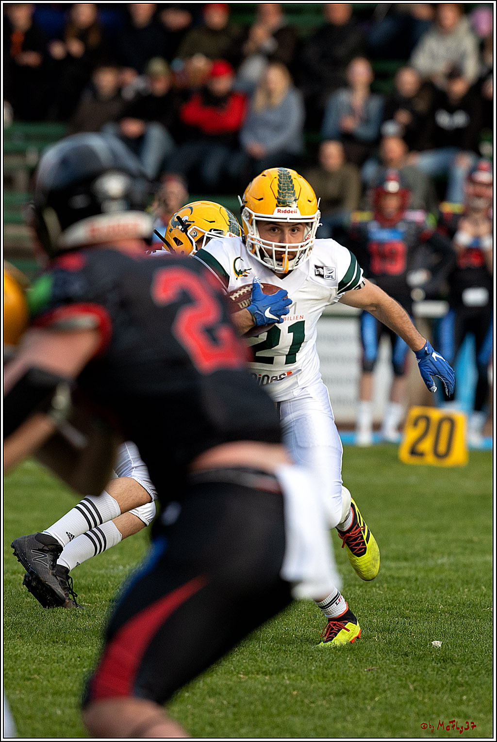 GFL - Charity Bowl, Solingen Paladins vs Cologne Crocodiles, 30.04.2022