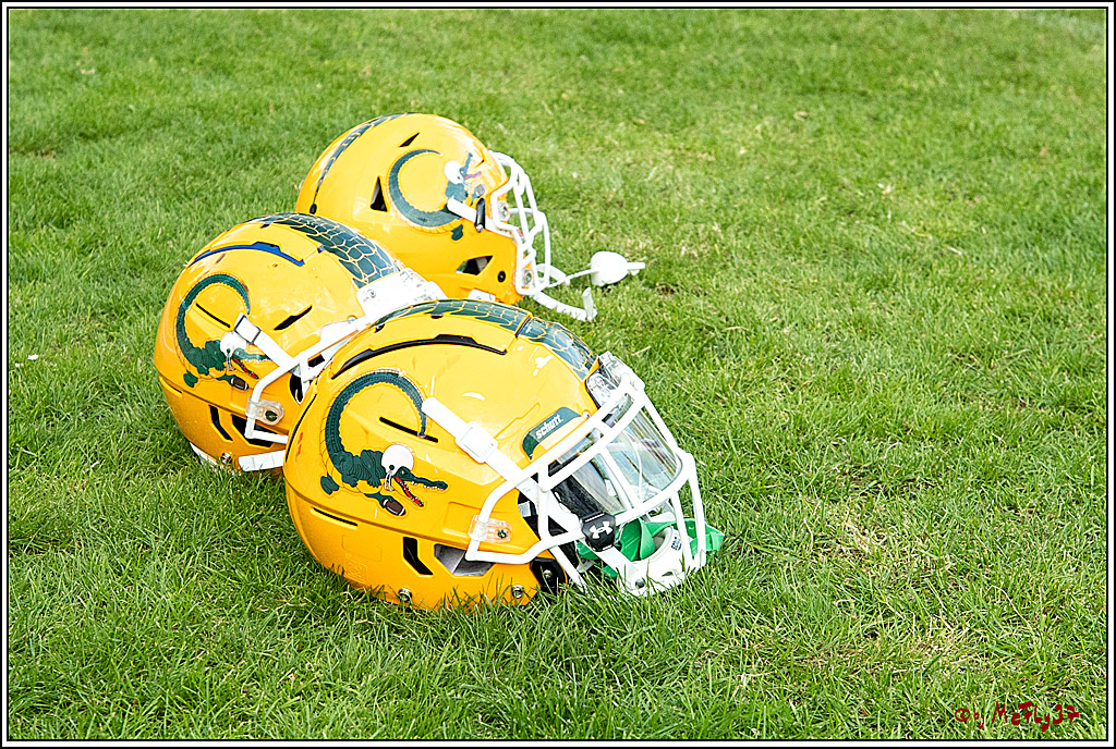 GFL - Charity Bowl, Solingen Paladins vs Cologne Crocodiles, 30.04.2022