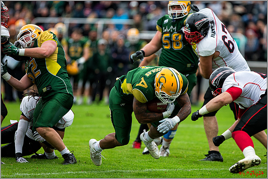 Rueckspiel Relegationsspiel Cologne Crocodiles Duesseldorfer Panther 24-0 2.9.2016