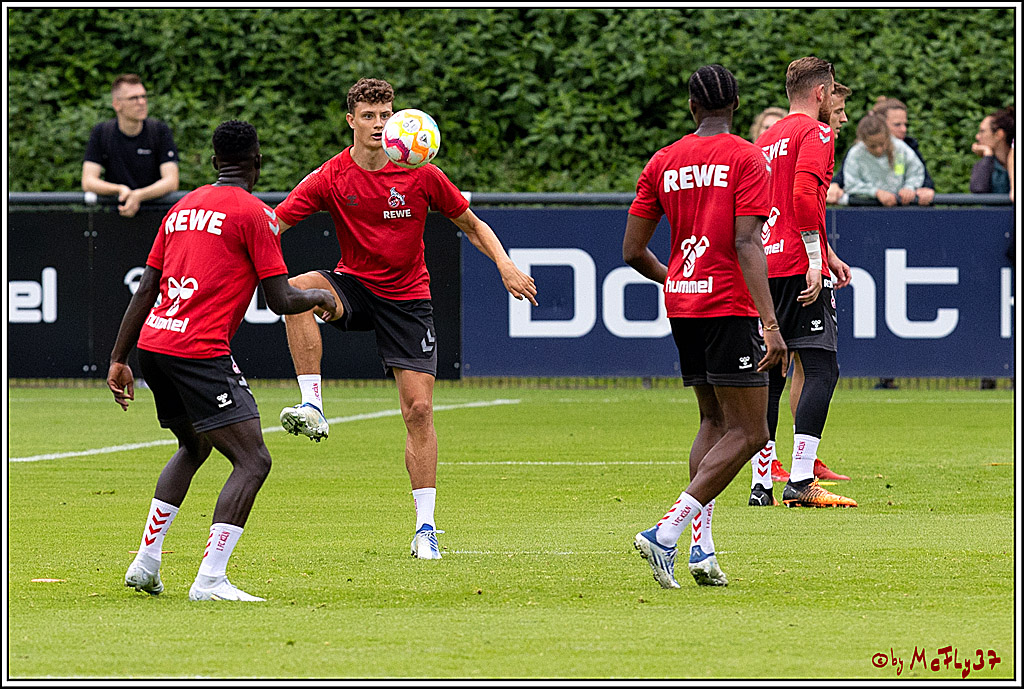 1. Fußball Bundesliga, Training 1.FC Köln, 29.06.2022