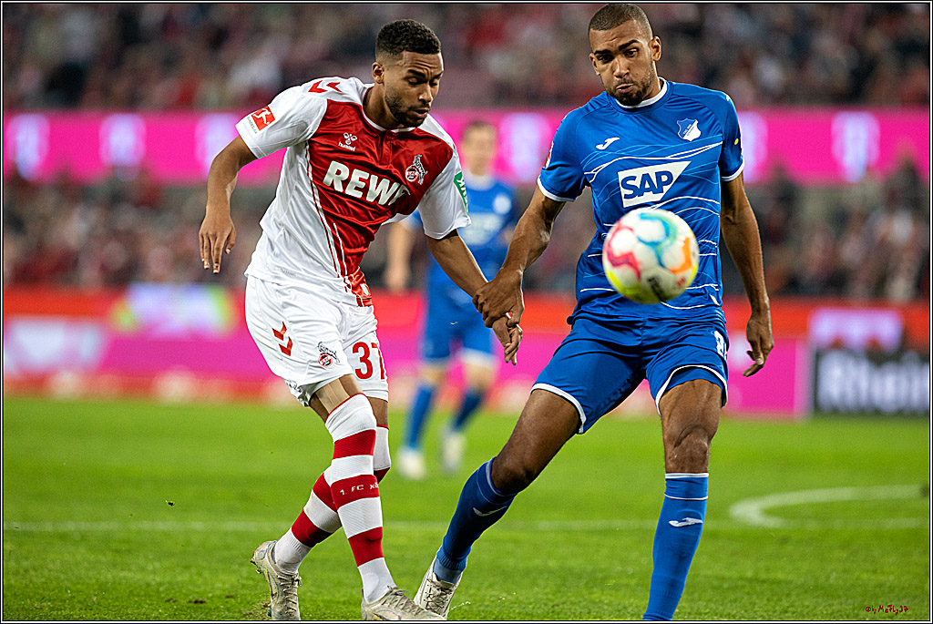 1. Fußball Bundesliga, 1.FC Köln - TSG 1899 Hoffenheim, 30.10.2022