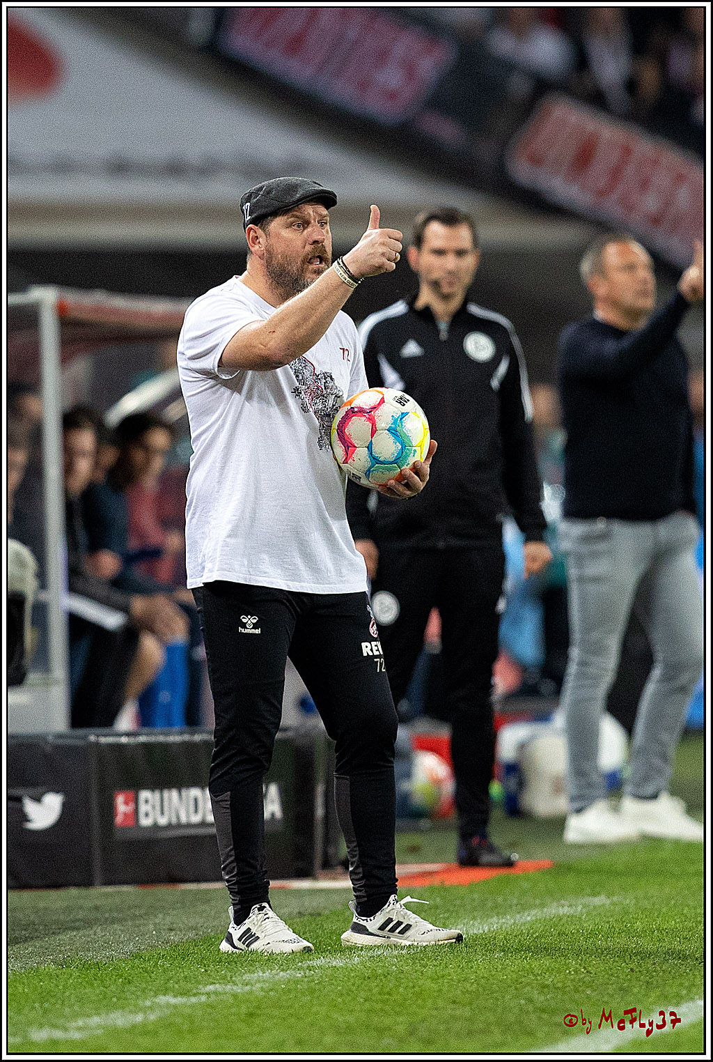 1. Fußball Bundesliga, 1.FC Köln - TSG 1899 Hoffenheim, 30.10.2022