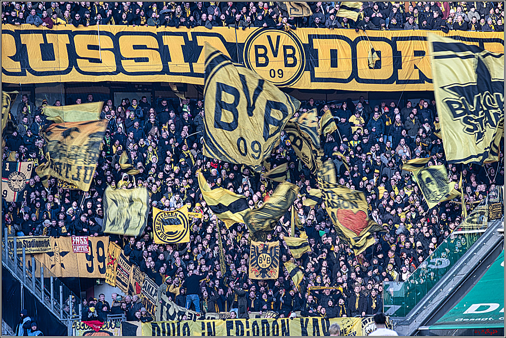 1. Fussball Bundesliga, 1.FC Köln - Borussia Dortmund, 20.01.2024
