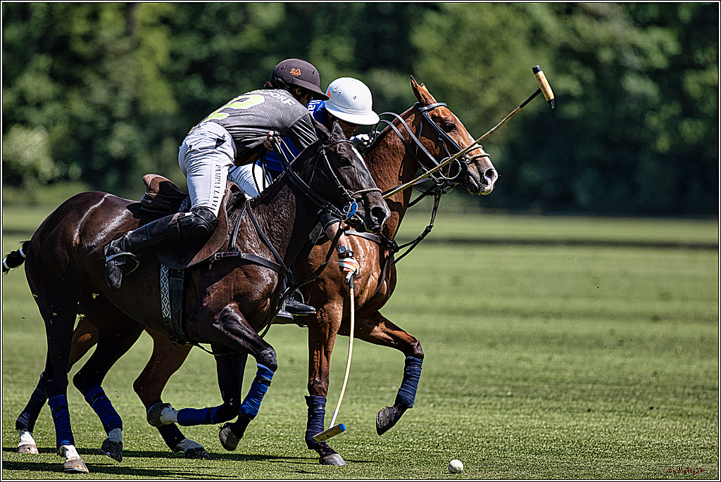 Düsseldorfer Polo & Country Days  2023