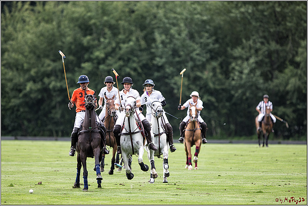 Polo Picknick Muenster 2017, 28.07.2017