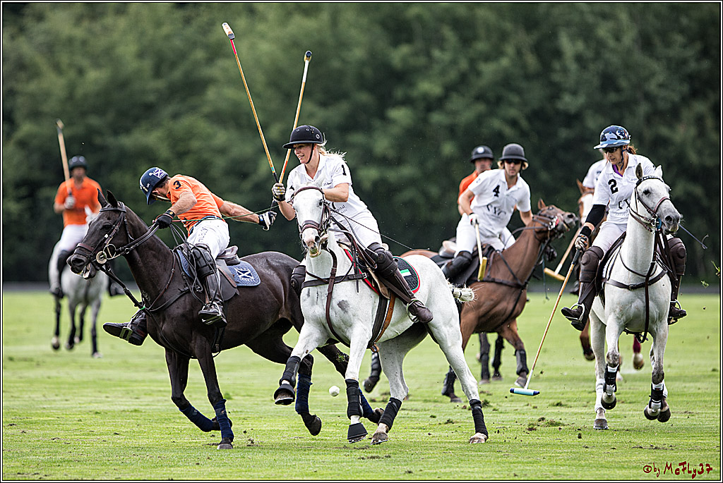 Polo Picknick Muenster 2017, 28.07.2017