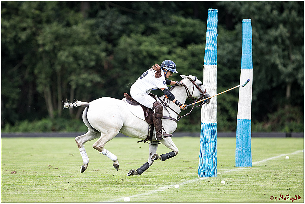 Polo Picknick Muenster 2017, 28.07.2017