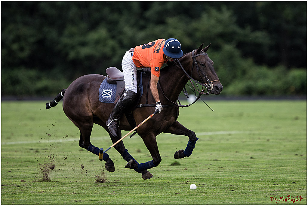 Polo Picknick Muenster 2017, 28.07.2017
