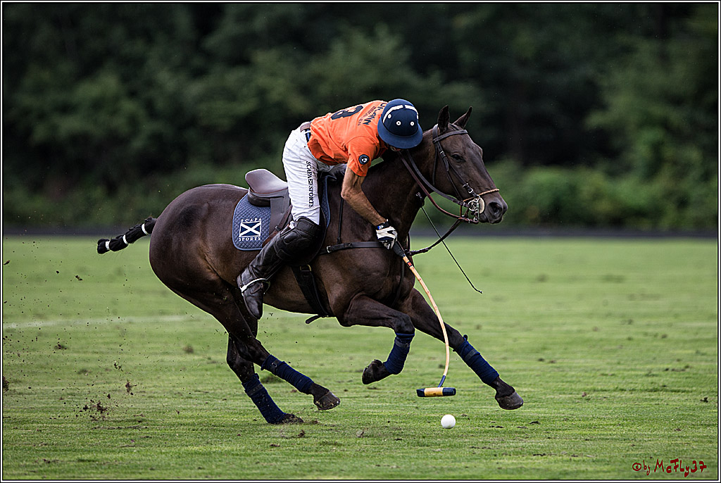 Polo Picknick Muenster 2017, 28.07.2017