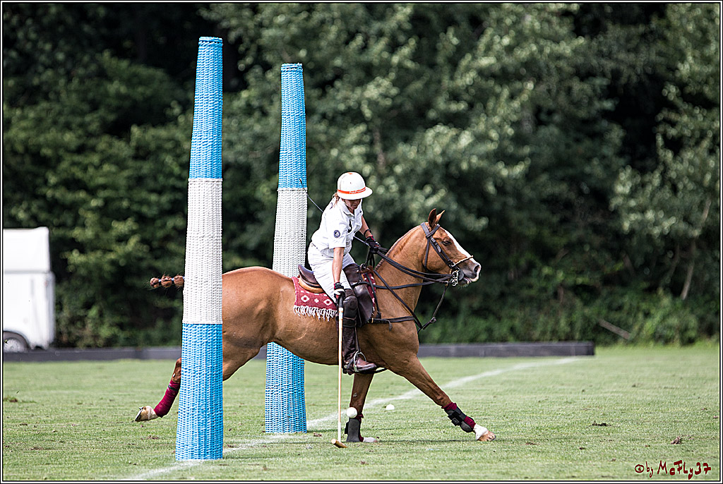 Polo Picknick Muenster 2017, 28.07.2017