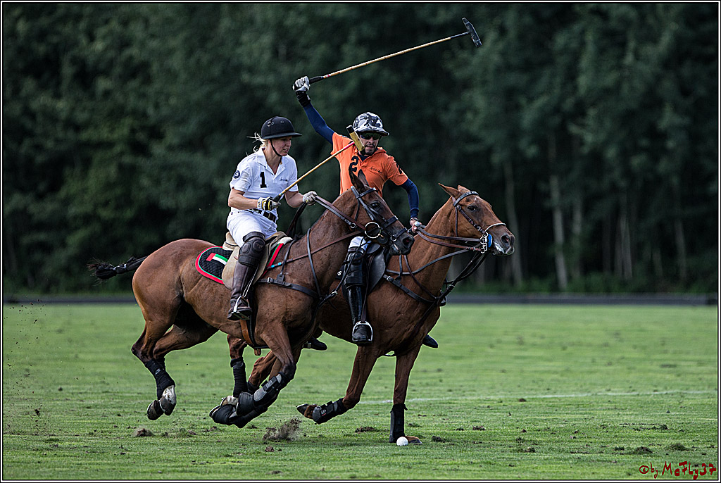 Polo Picknick Muenster 2017, 28.07.2017