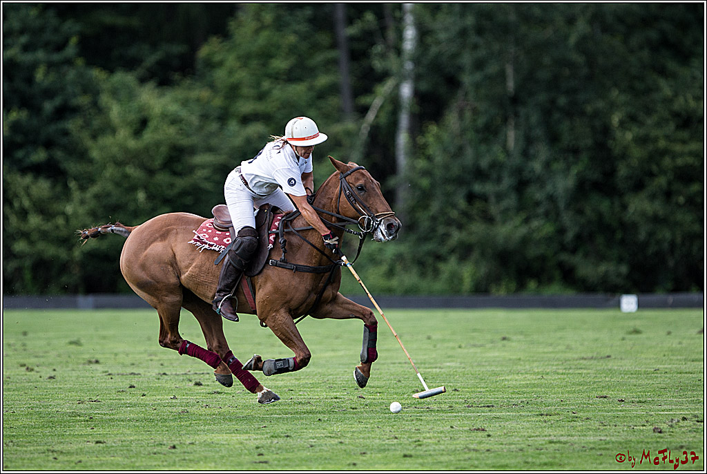 Polo Picknick Muenster 2017, 28.07.2017