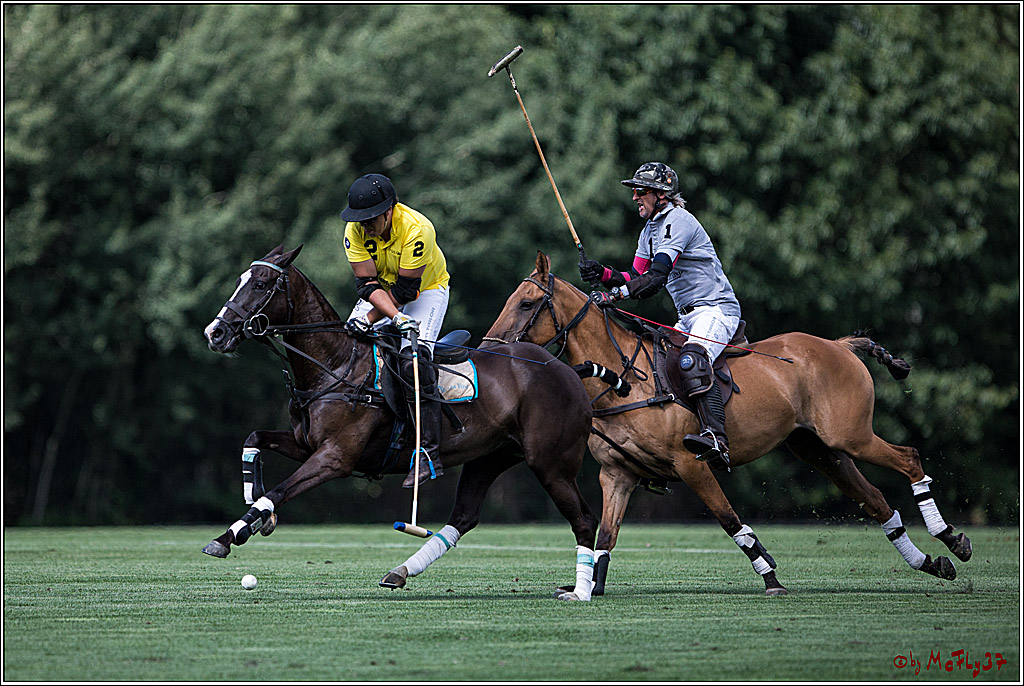 Polo Picknick Muenster 2017, 28.07.2017