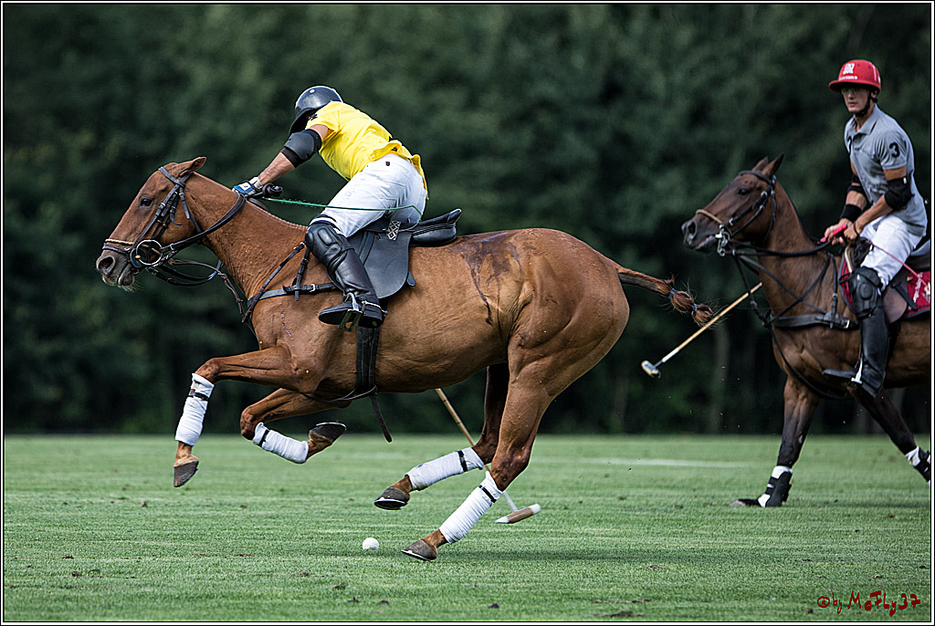 Polo Picknick Muenster 2017, 28.07.2017