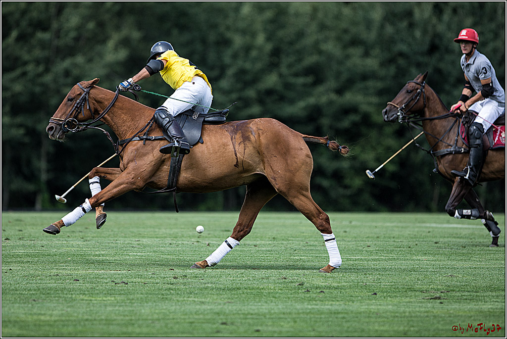 Polo Picknick Muenster 2017, 28.07.2017