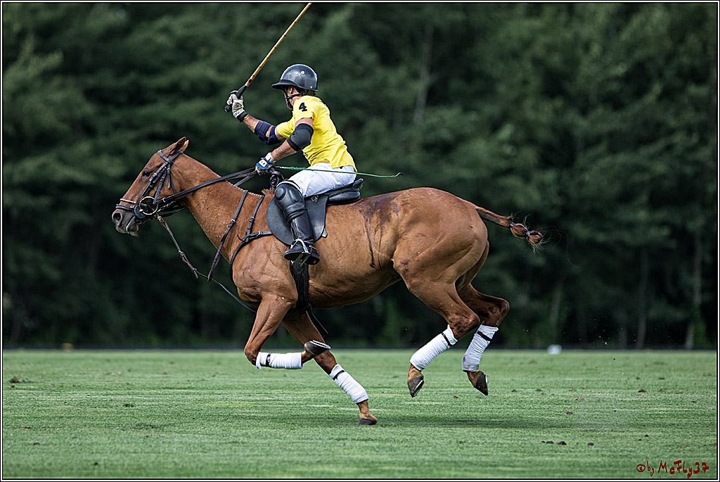 Polo Picknick Muenster 2017, 28.07.2017