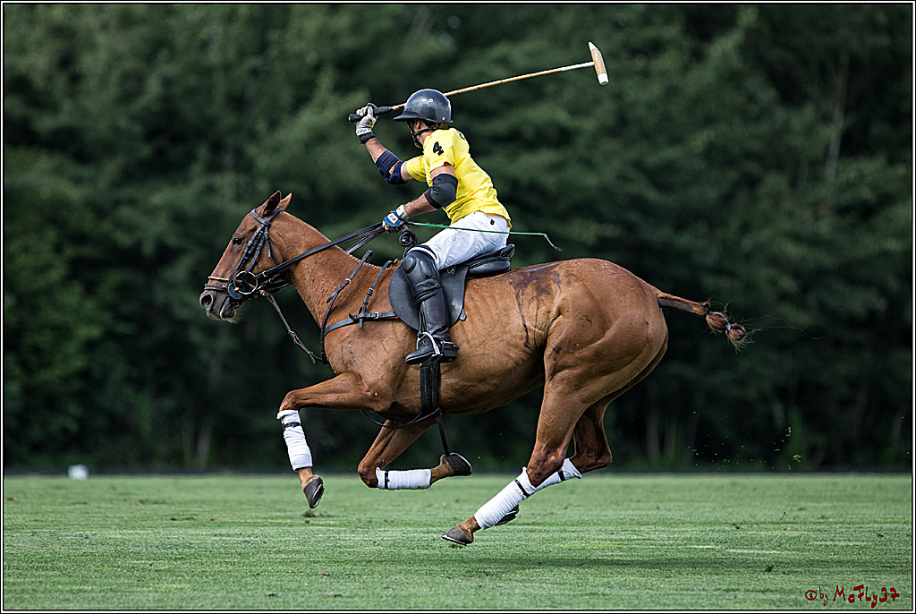 Polo Picknick Muenster 2017, 28.07.2017