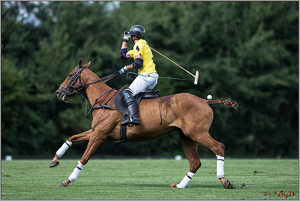 Polo Picknick Muenster 2017, 28.07.2017