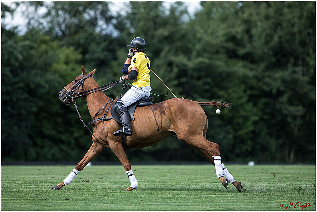 Polo Picknick Muenster 2017, 28.07.2017