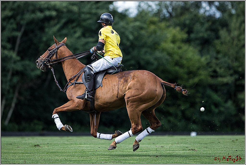 Polo Picknick Muenster 2017, 28.07.2017