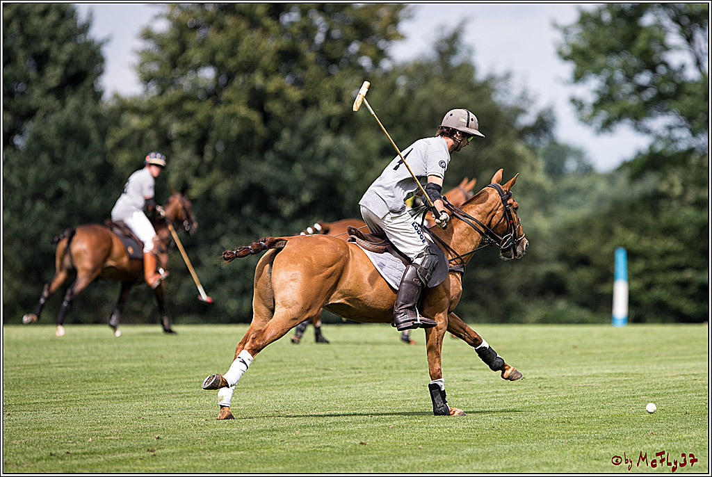 Polo Picknick Muenster 2017, 28.07.2017