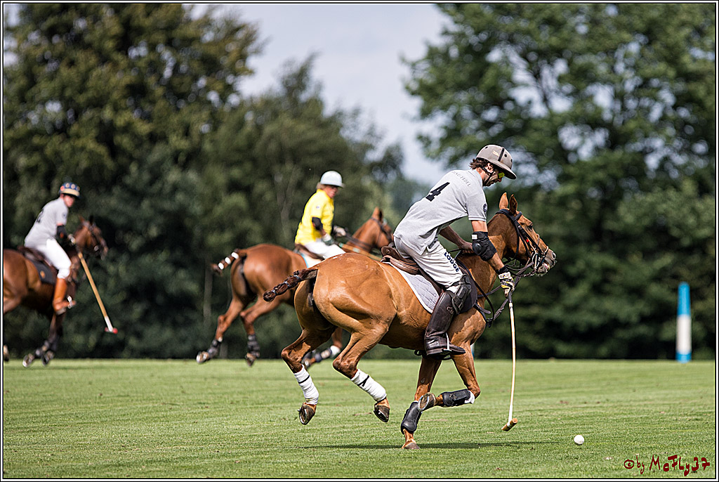 Polo Picknick Muenster 2017, 28.07.2017