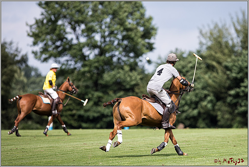 Polo Picknick Muenster 2017, 28.07.2017