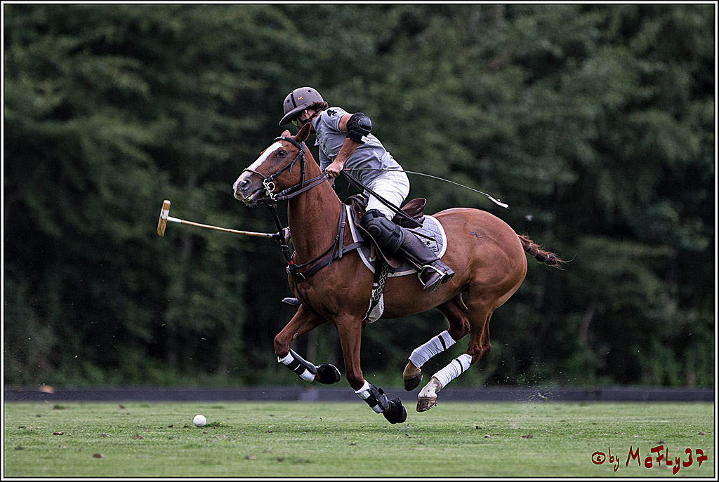 Polo Picknick Muenster 2017, 28.07.2017