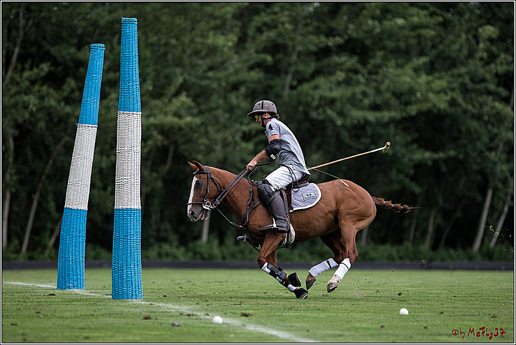 Polo Picknick Muenster 2017, 28.07.2017