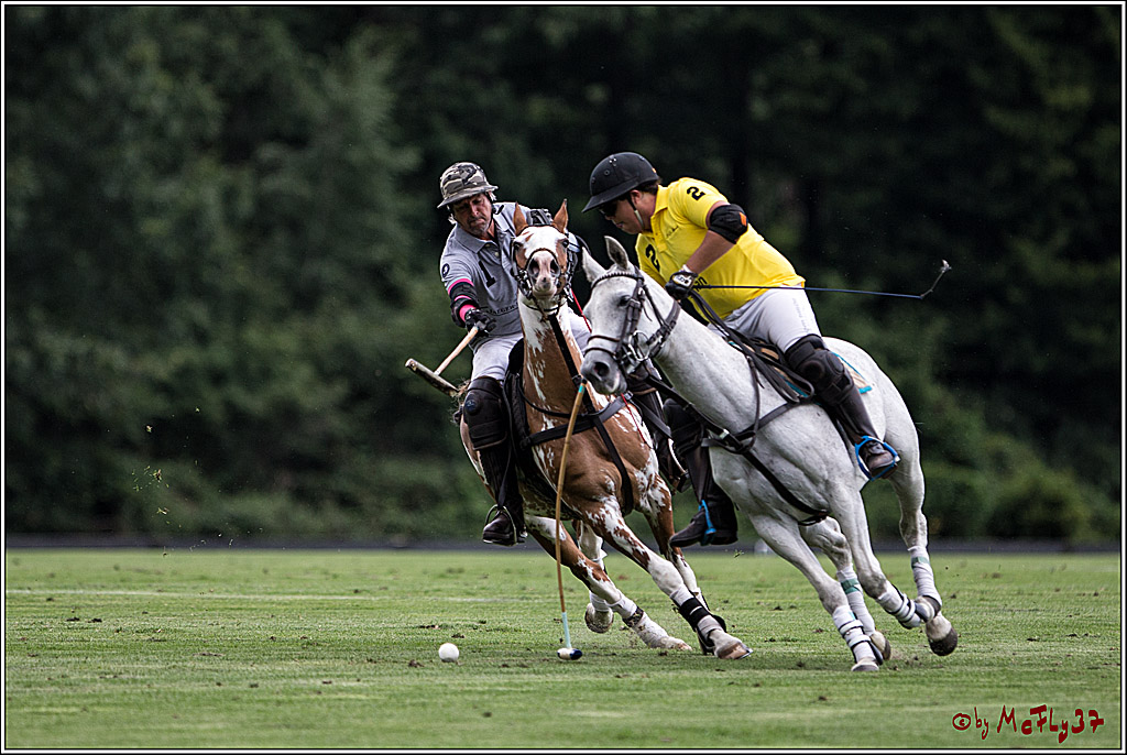 Polo Picknick Muenster 2017, 28.07.2017