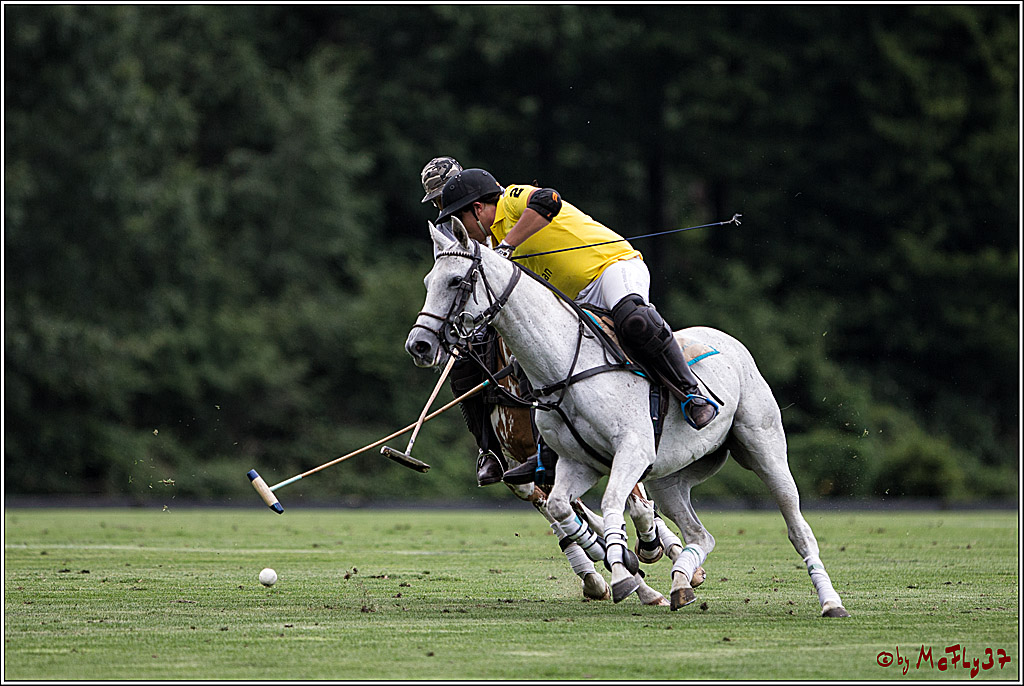 Polo Picknick Muenster 2017, 28.07.2017