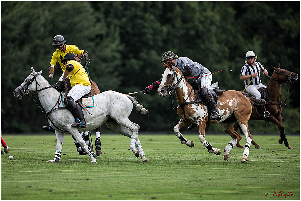 Polo Picknick Muenster 2017, 28.07.2017