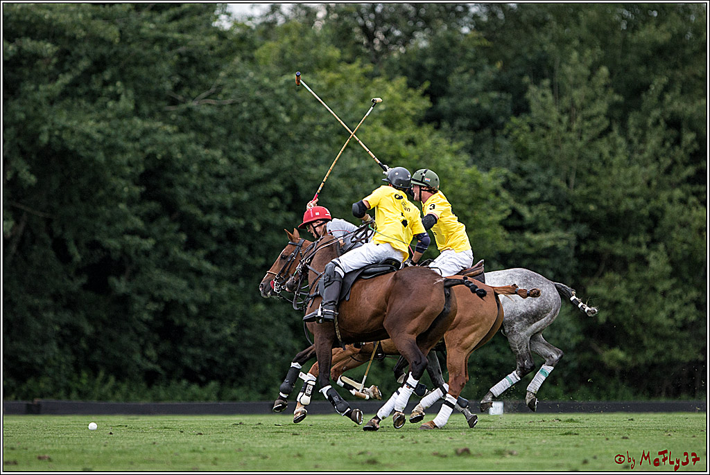 Polo Picknick Muenster 2017, 28.07.2017