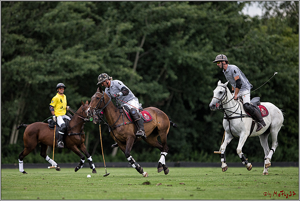 Polo Picknick Muenster 2017, 28.07.2017